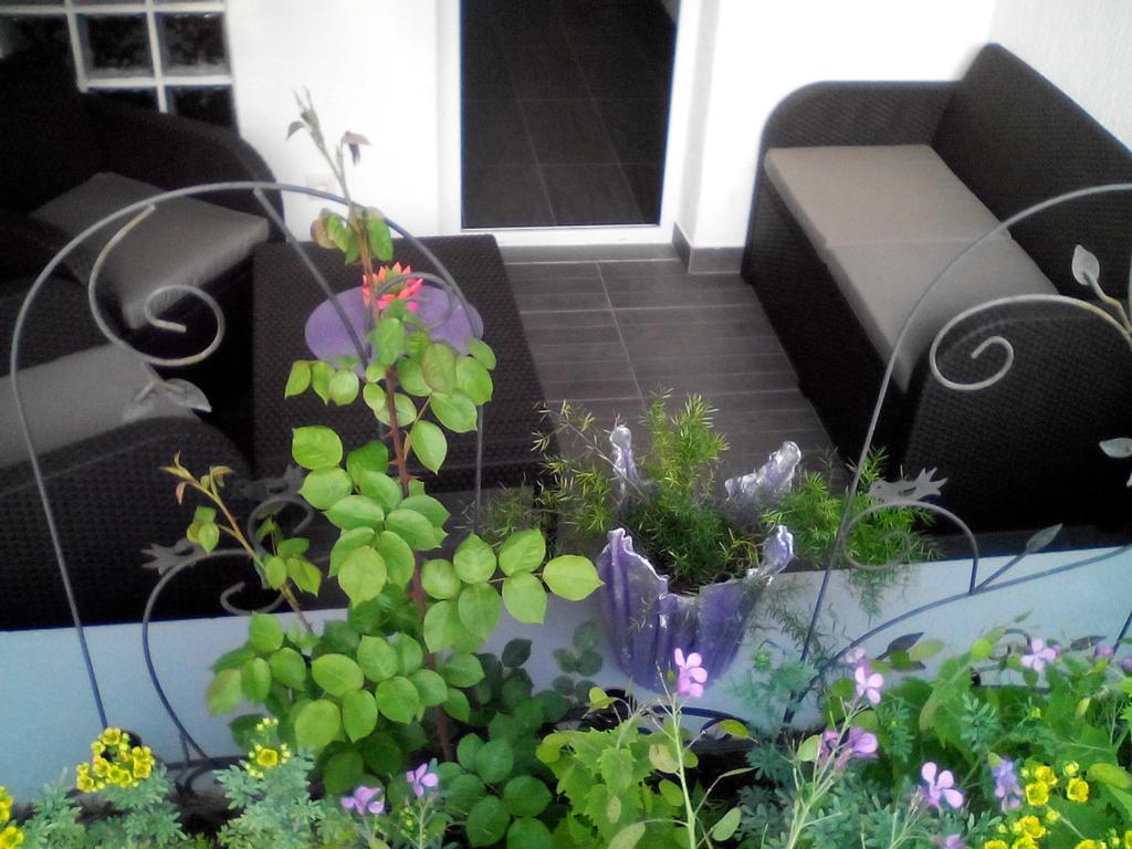 Apartment Poropat Porec Phòng bức ảnh