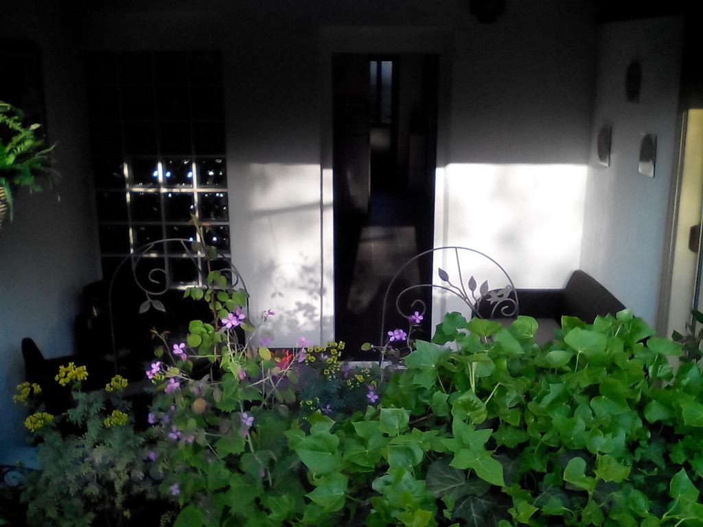Apartment Poropat Porec Phòng bức ảnh